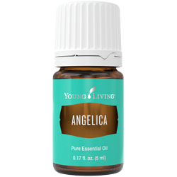 Angelica Essential Oil - 5ml