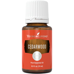 Cedarwood Essential Oil - 15ml