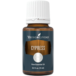 Cypress Essential Oil - 15ml