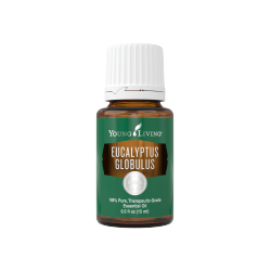 Eucalyptus Globulus Essential Oil - 15ml