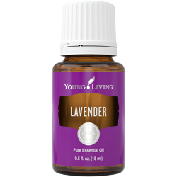 Lavender Essential Oil - 15ml