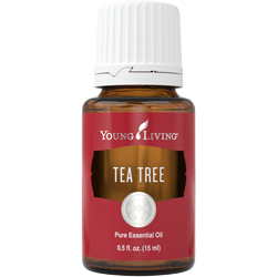 Tea Tree Essential Oil - 5ml