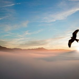 PiB Business Consulting Service: 120 minutes